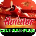 cricket bat Earn Plus v2.2.3