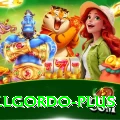 elgordo Elite - Free Download