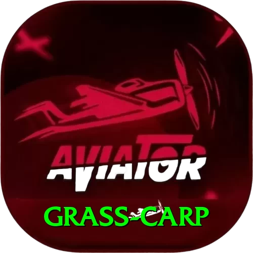 grass carp Extreme APK v3.8.2 - 2