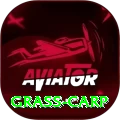 grass carp Extreme APK v3.8.2
