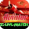 icc live match Casino Mega v2.6.5