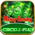 online cricket PK Super