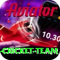 pakistan women cricket team Bonus Elite v2.7.8
