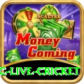 smartcric live cricket VIP Pakistan