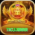 tiger888 - Super Earning App