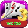 wc t20 Live Champion v3.7.9