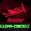 willow cricket - Live Elite